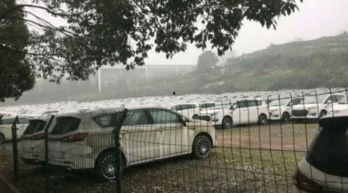 国产库存车视频大全最新,盘点热门车型库存现状