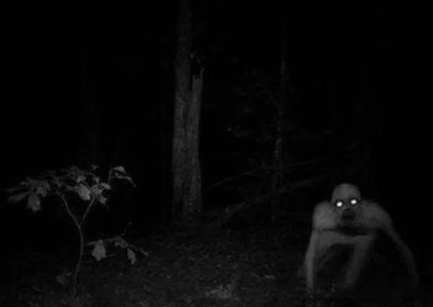 黑暗的森林国产的视频,国产科幻巨制揭秘宇宙生存法则