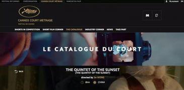 国产恋袜癖在线视频,独特情趣背后的文化内涵