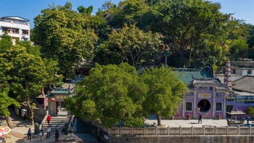 最新69视频国产,精彩纷呈，国产影视再创新高