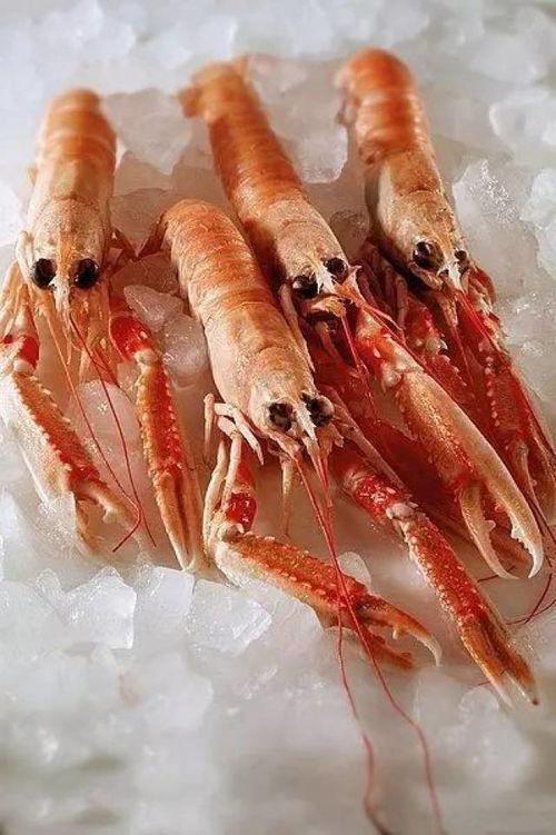 国产鳌虾越大越好吗视频,大即是美？揭秘越大越好的真相  第2张